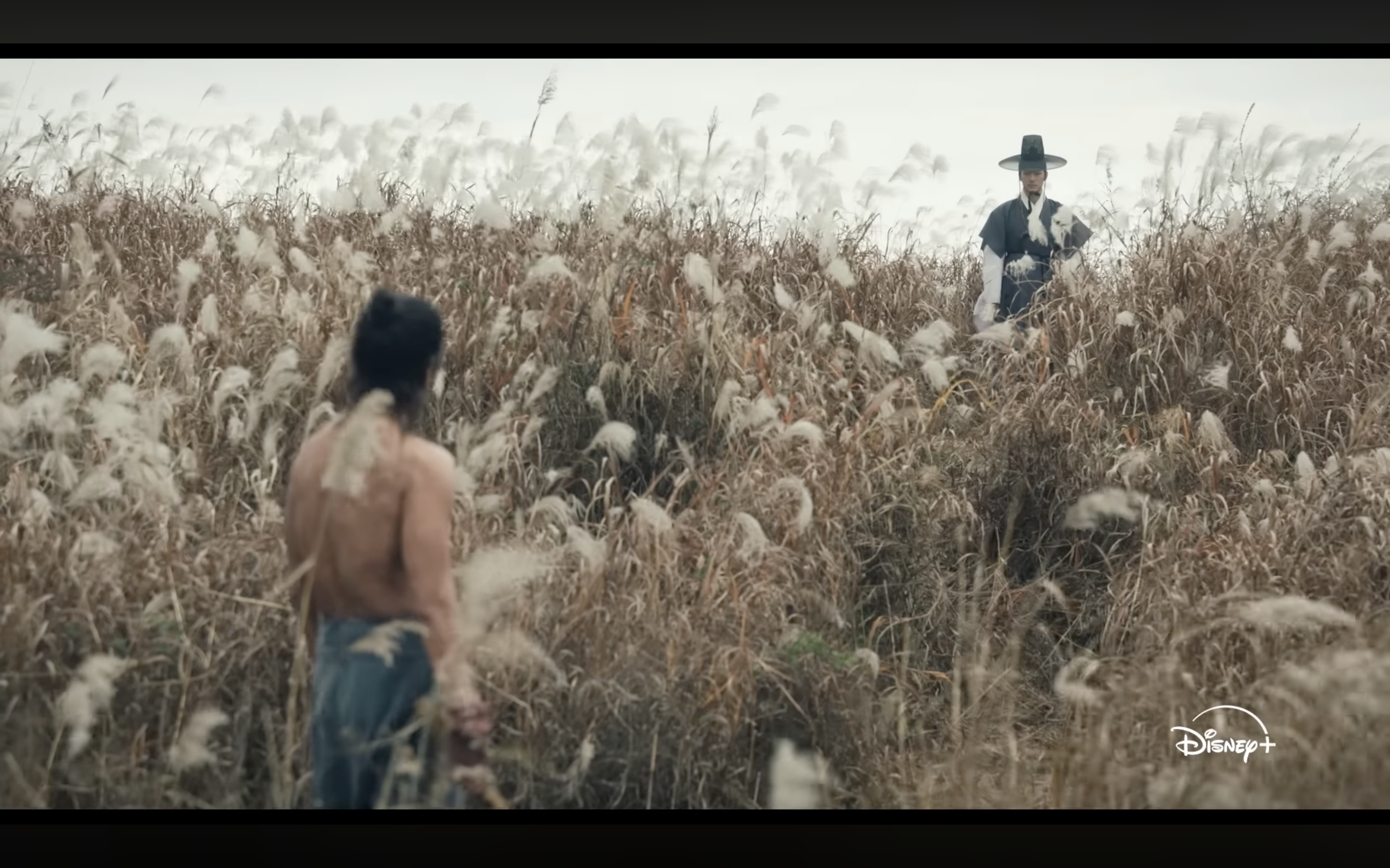 Nejlepší seriály Disney+ 2025: Viděli jste je všechny?