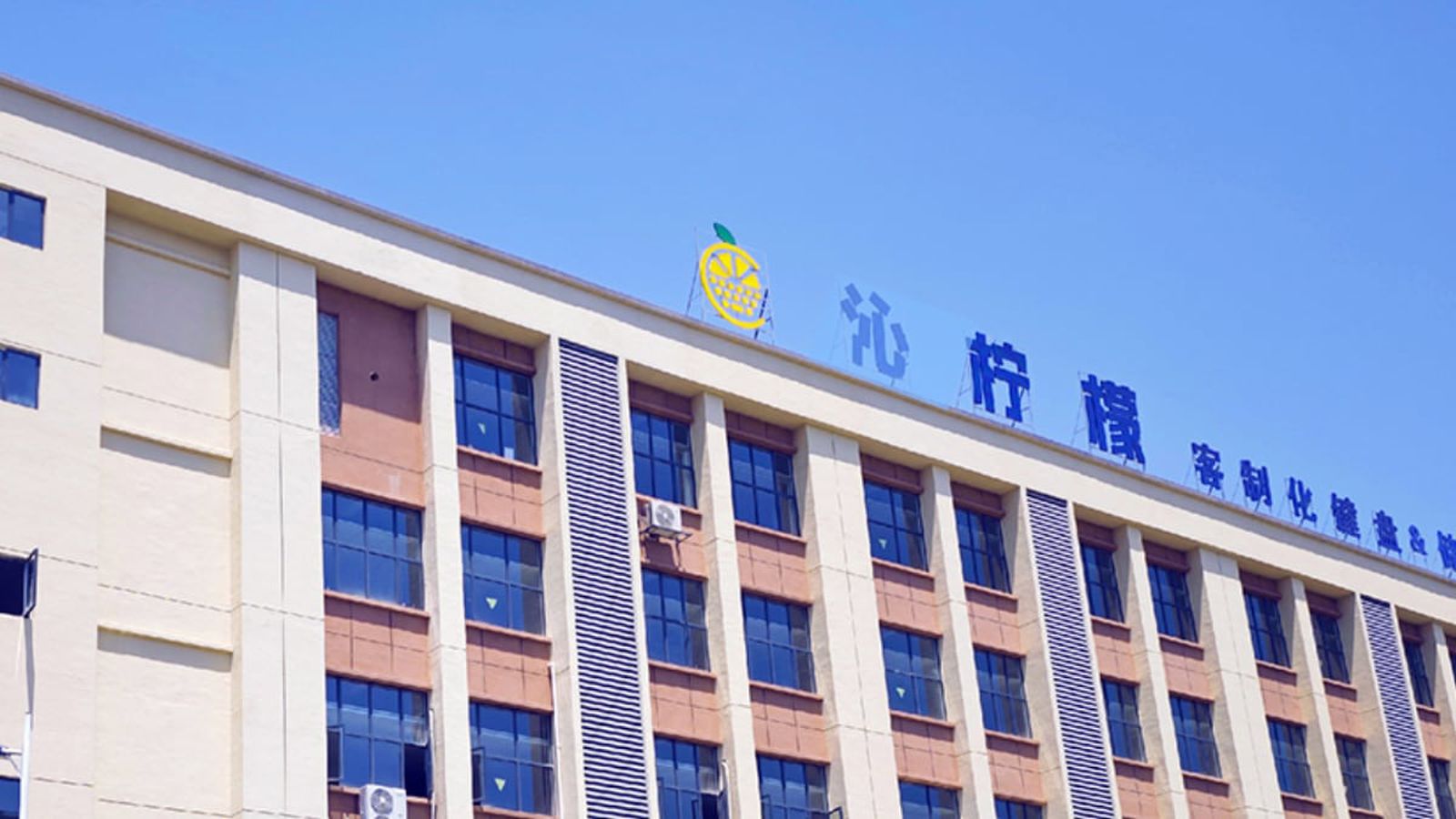 chinese company citrus logo