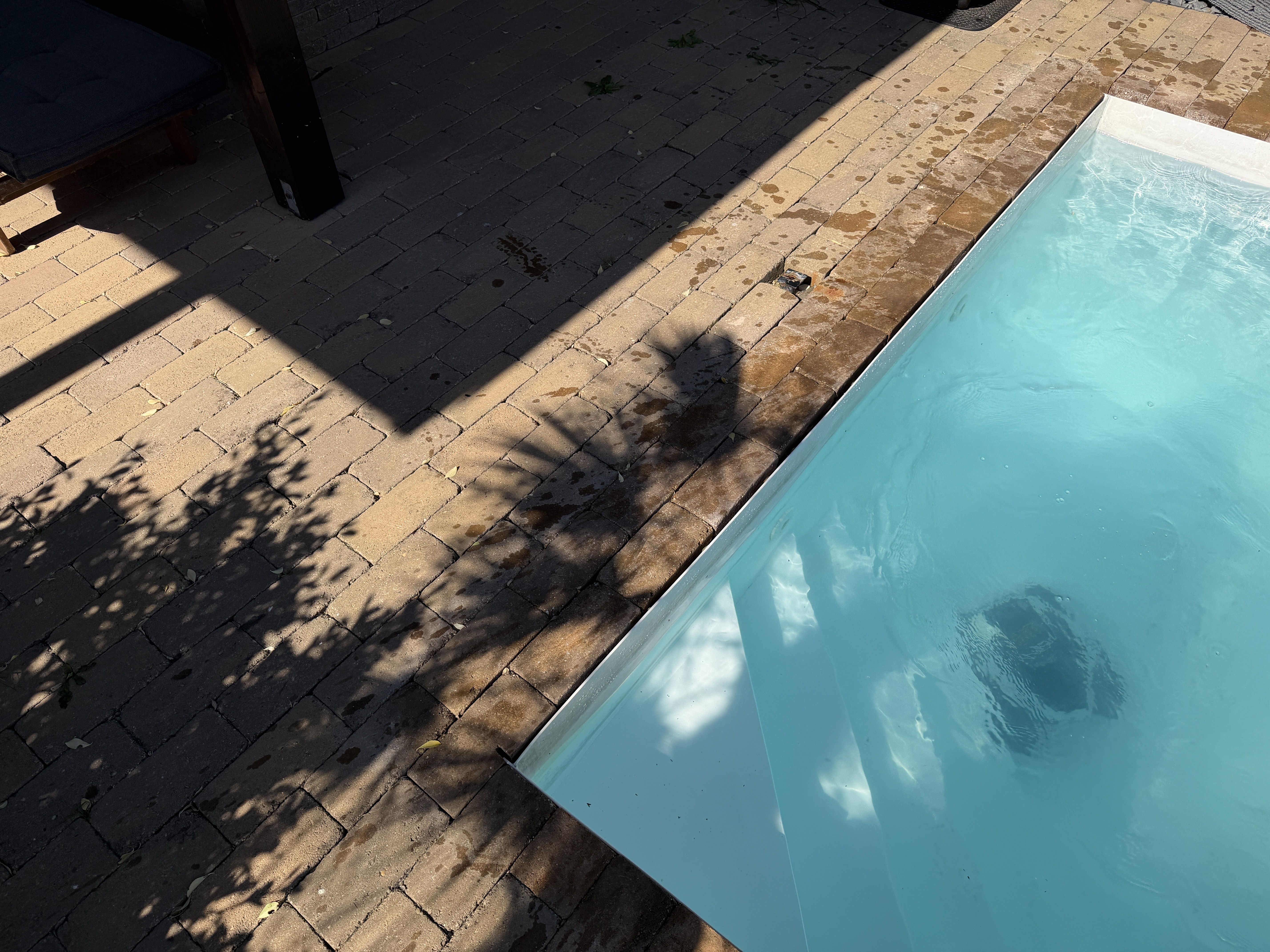 salt pool