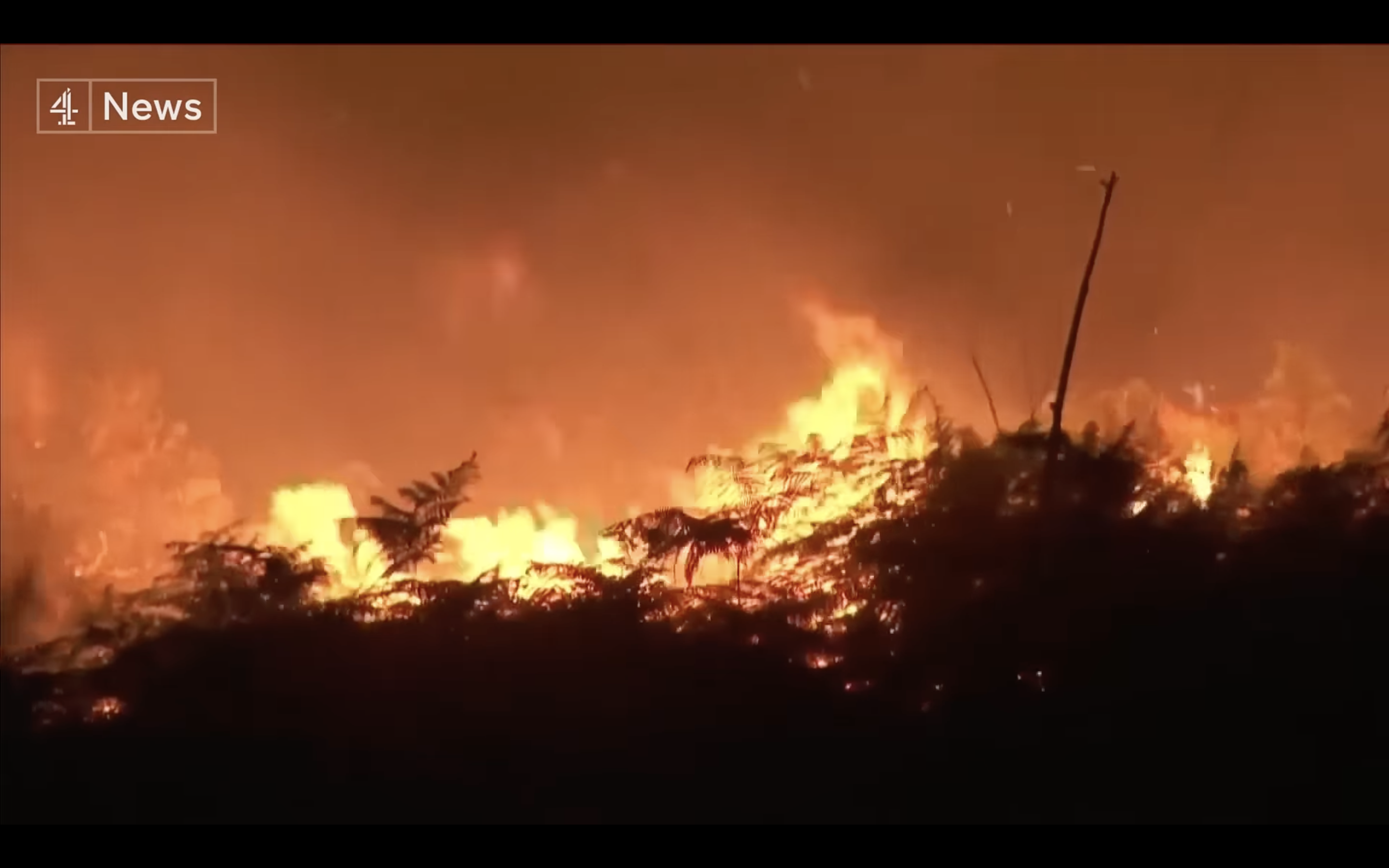 Fire in Bordeax FB