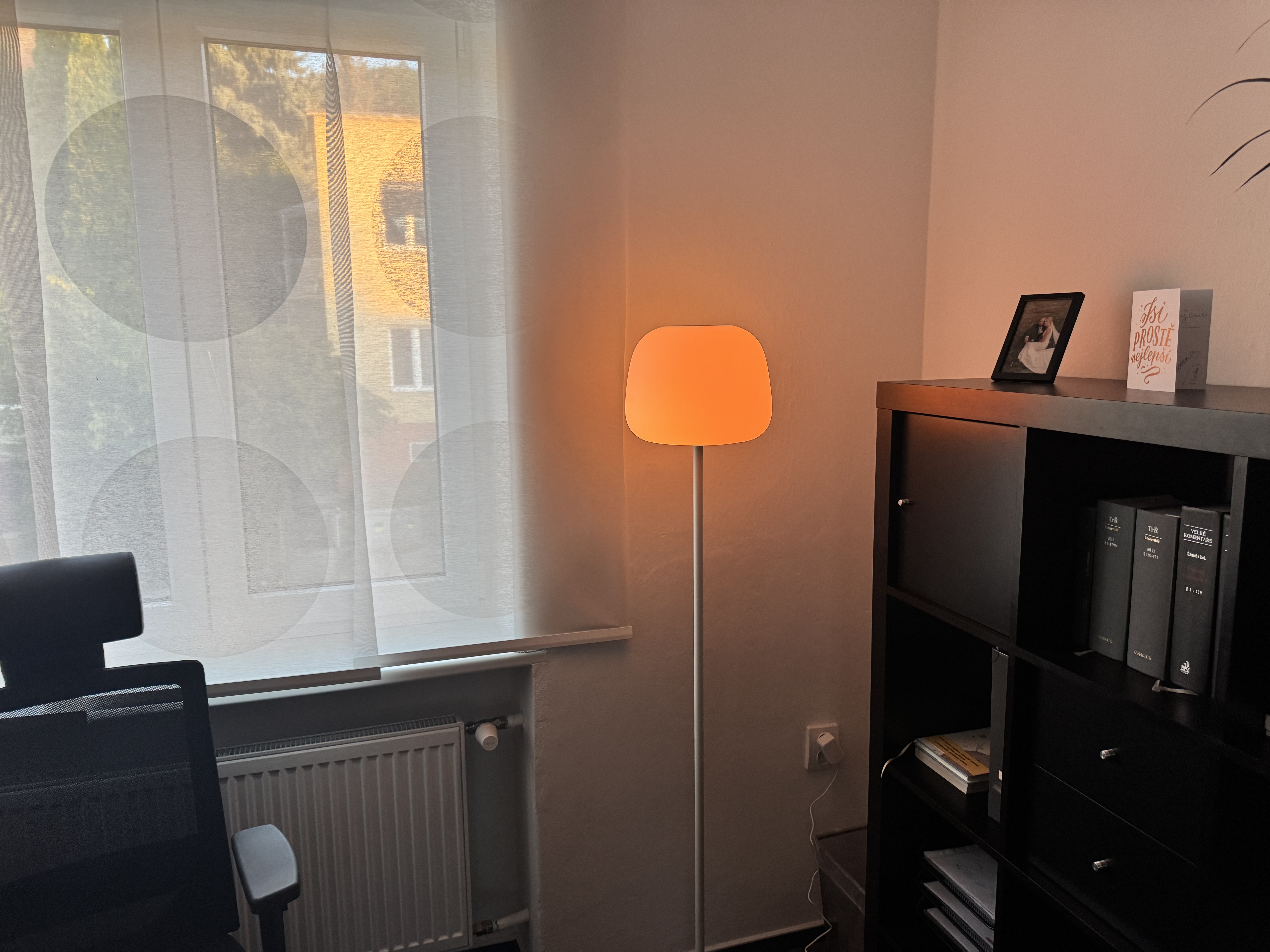 Lantern Floor Lamp 3521